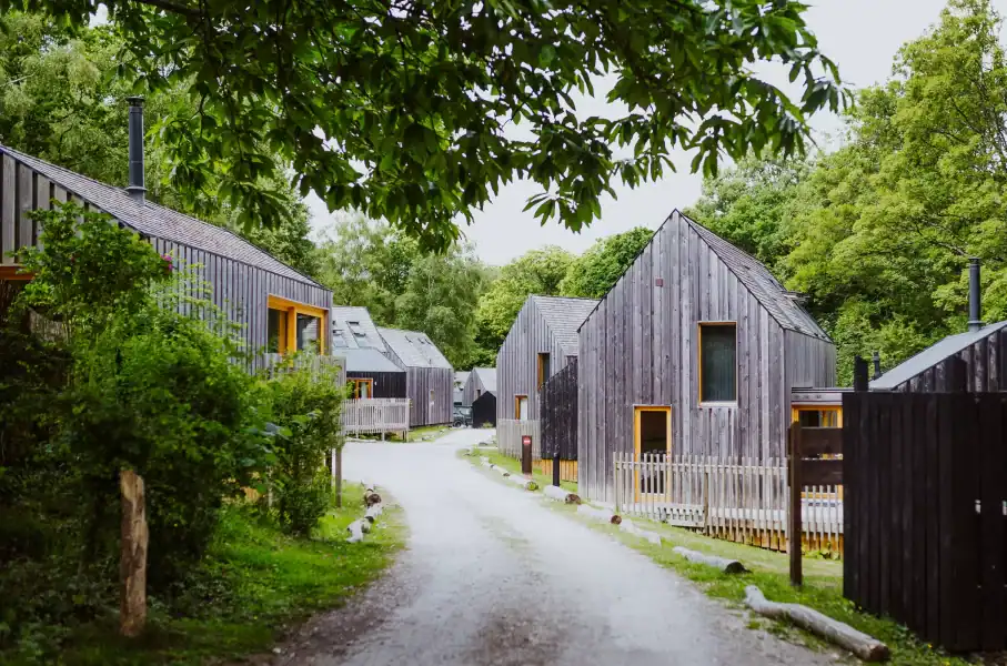 Contemporary wooden houses with sleek design nestled among lush greenery in a peaceful countryside.
