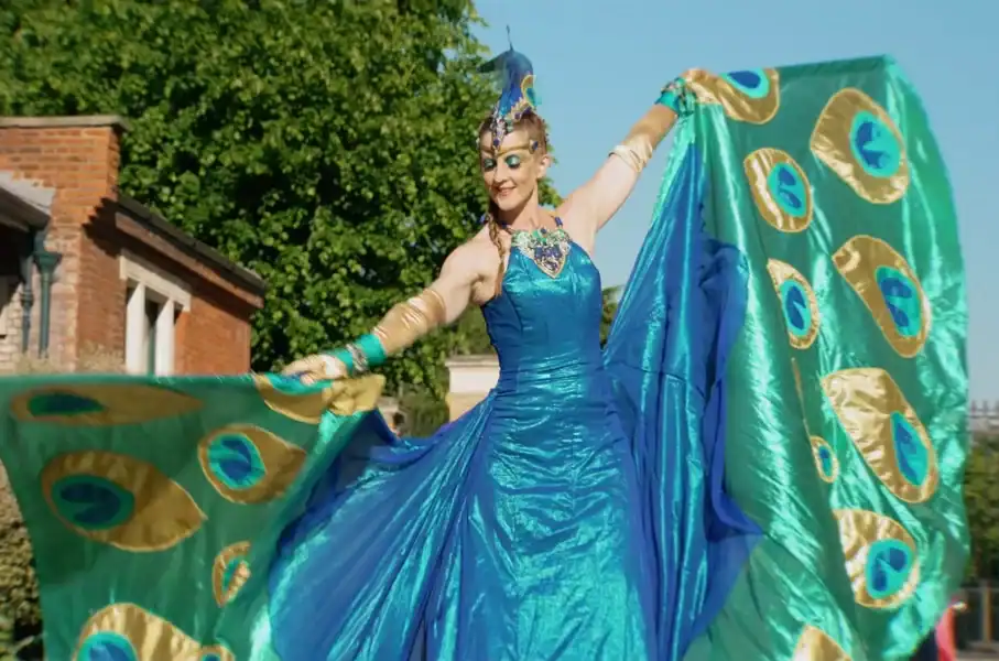 Peacock dancer in colourful costume performing outdoors.